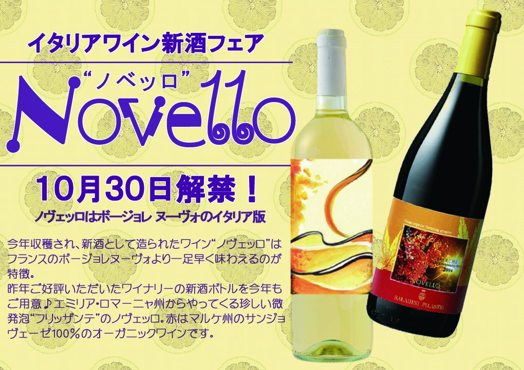 %e3%83%8e%e3%83%b4%e3%82%a7%e3%83%83%e3%83%ad2